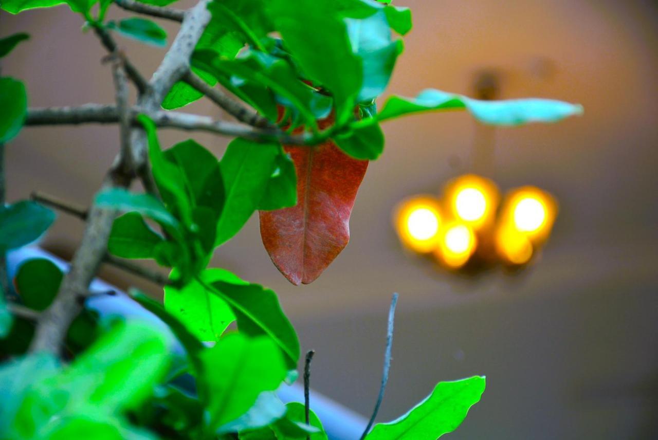 Malaiya Homestay - Grandeur Living Experience Jabalpur Eksteriør billede
